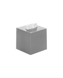 Gedy tissuebox RAINBOW vierkant 14,5x14,5x15cm zilverkleur gelakt